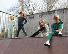 Load image into Gallery viewer, Pine