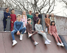 Load image into Gallery viewer, Dove Grey