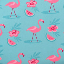 Load image into Gallery viewer, Weaning Bib with Sleeves - Flamingos UltraBib