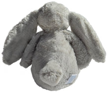 Load image into Gallery viewer, Personalised Bunny Toy