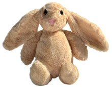 Load image into Gallery viewer, Personalised Bunny Toy