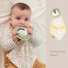 Load image into Gallery viewer, Taf Toys Newborn Play &amp; Develop Kit