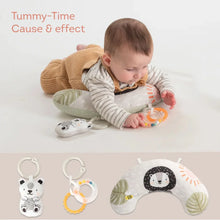 Load image into Gallery viewer, Taf Toys Newborn Play &amp; Develop Kit