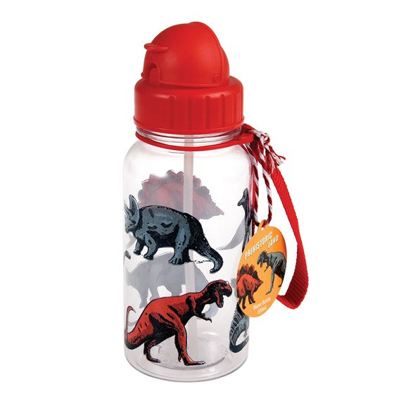 Dinosaur Water Bottle, BPA free - The Monkey Box