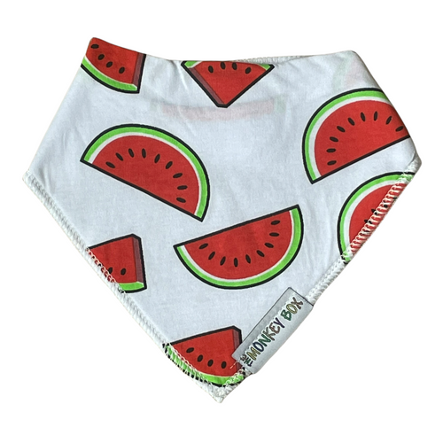 Watermelon Slice Dribble Bib